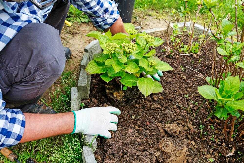 ¿Cómo ahorrar energía en el jardín?